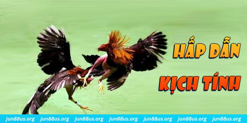 Điểm đặc biệt thu hút khách, hỗ trợ trải nghiệm ấn tượng