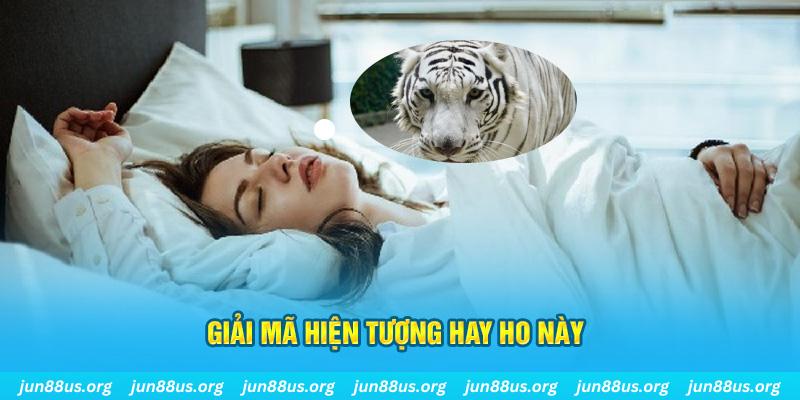 Mơ Thấy Cọp Trắng Xuất Hiện? Khám Phá Ý Nghĩa Với Jun88 5 Giải mã hiện tượng hay ho này