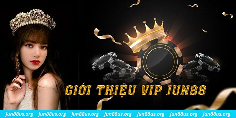 Giới thiệu tính năng độc đáo và đặc quyền của VIP Jun88