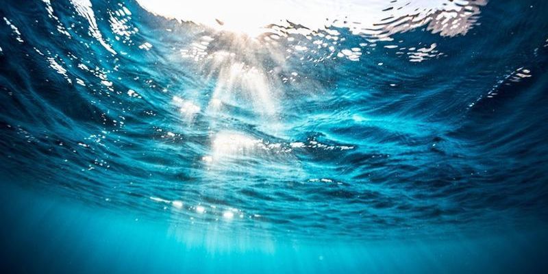 Mơ nước hóa vàng – phú quý vĩnh cửu